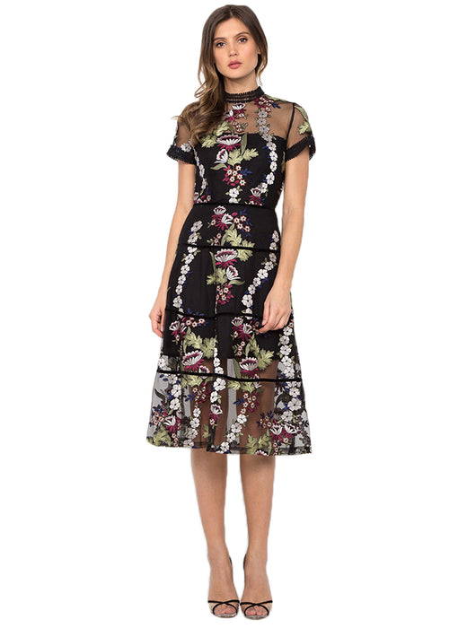 Cheongsam Embroidered Sheer Dress